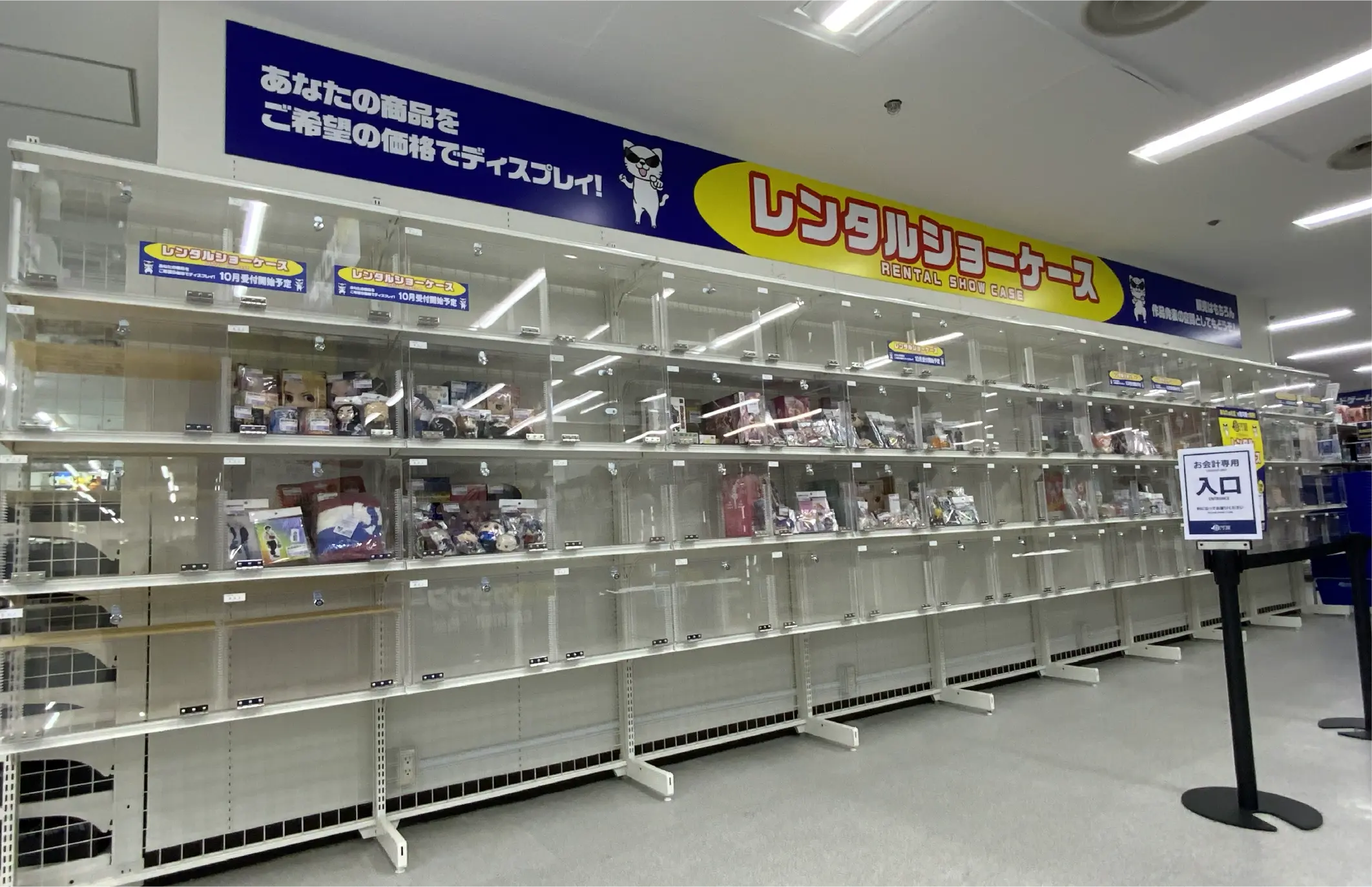 ケース見本